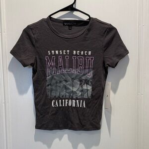 Vinyl Icons Gray Graphic Tee